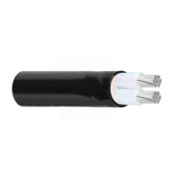 day-dien-cadivi-axv-2x70-600v1kv