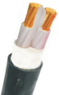 day-dien-tran-phu-cxv-2x120-600v1kv