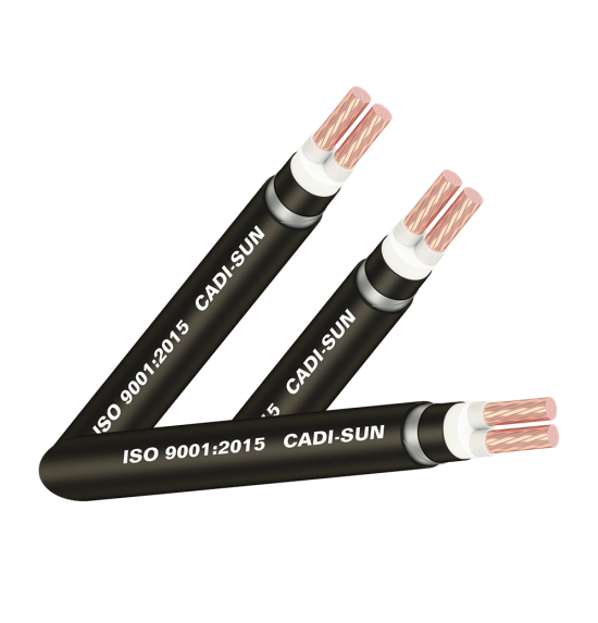 day-dien-cadisun-dsta-2x50-600v1kv