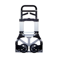 xe-day-hang-2-banh-rut-gon-advindeq-tl-a250