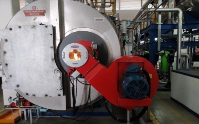 dau-dot-2