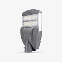 led-chieu-duong-rang-dong-csd04-100w