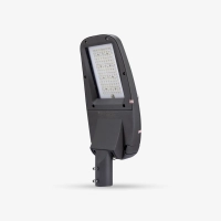 led-chieu-duong-rang-dong-csd06-80w