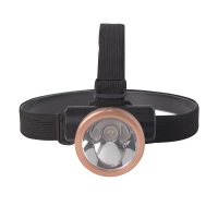 led-pin-doi-dau-rang-dong-pdd01-1w