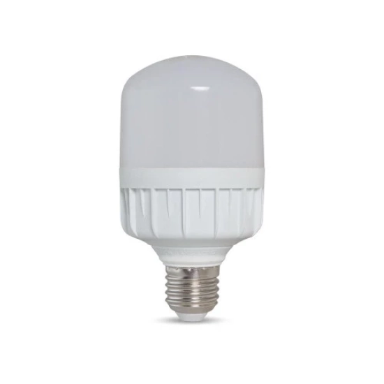 led-bup-tru-rang-dong-tr70n112-24vdc-12w-e27