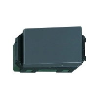 cong-tac-c-2-chieu-cam-nhanh-panasonic-wev5002h