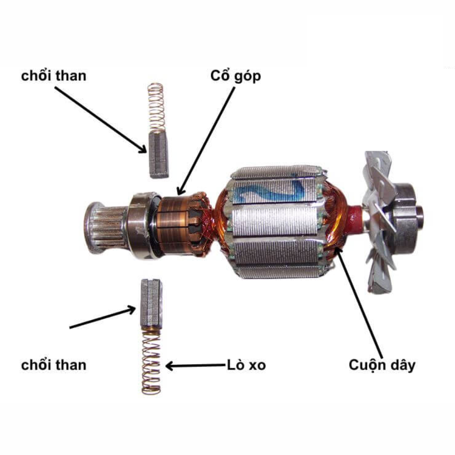 Cổ góp và chổi than 