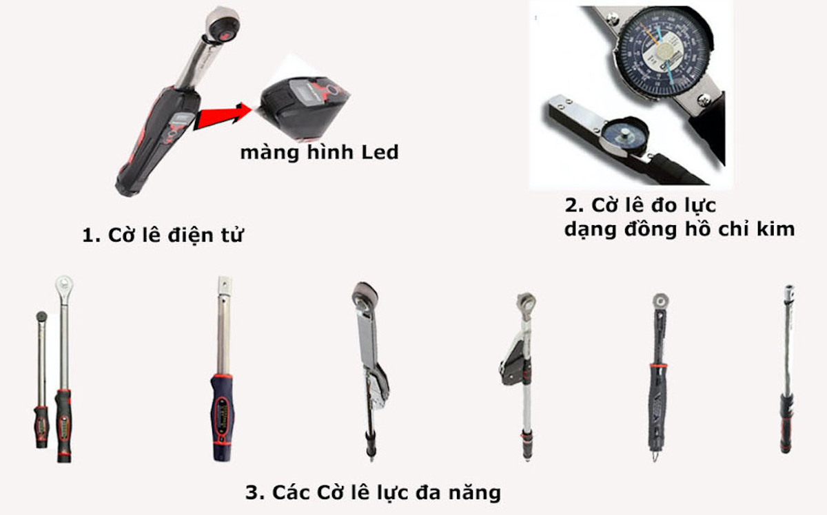 cac-loai-co-le-luc