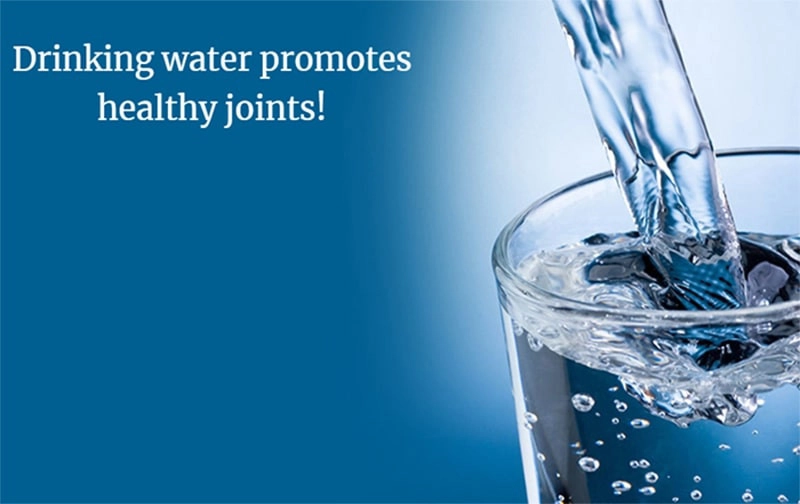 Lubricates bone joints