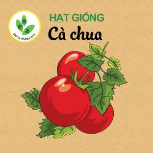 34-ca-chua