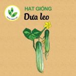 22-dua-leo