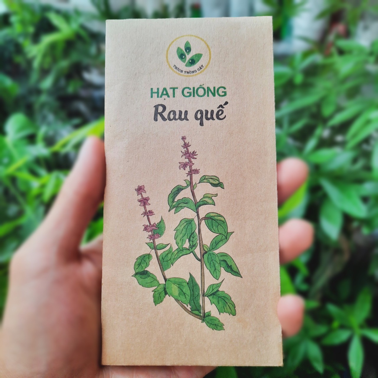 hung-que-1