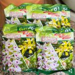 60a3731e82cb47951eda