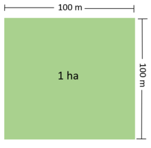 Hình vẽ minh họa về Hecta