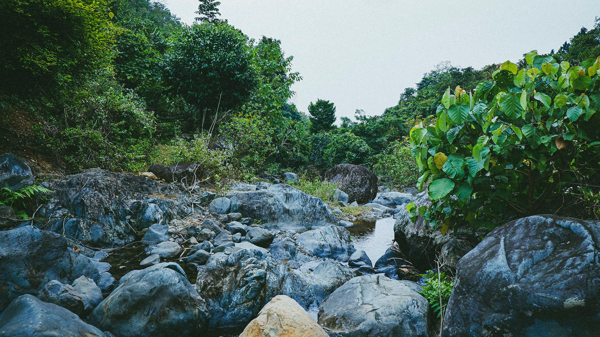 Thác Thăng Thiên