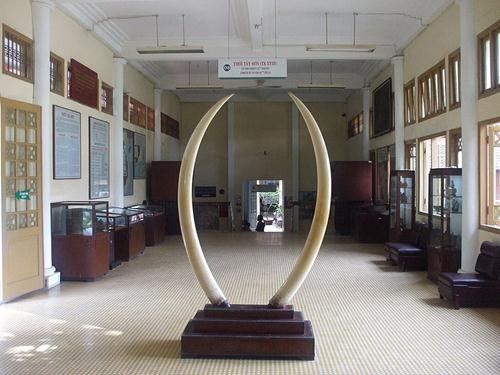 Bảo tàng Lịch sử Việt Nam - Vietnam National Museum of History