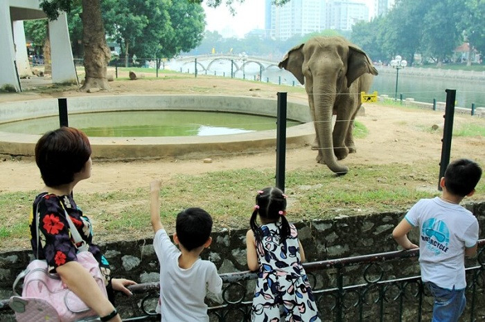 Vườn Thú Hà Nội - Công Viên Thủ Lệ - Hanoi Zoo