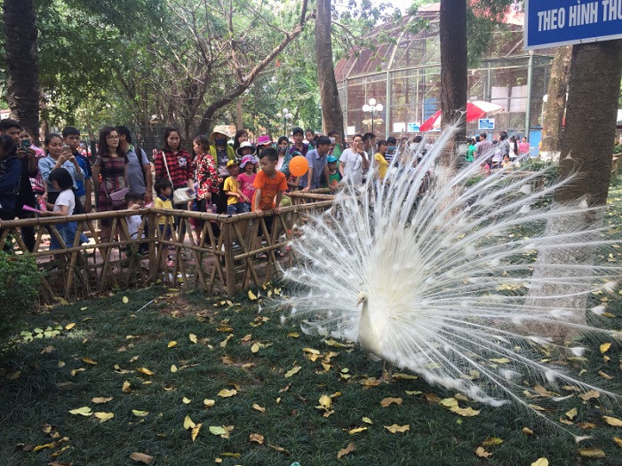 Vườn Thú Hà Nội - Công Viên Thủ Lệ - Hanoi Zoo