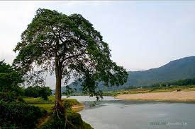 Núi Thiên Thai