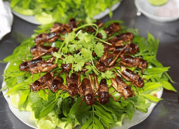 Làng sinh thái Fosaco