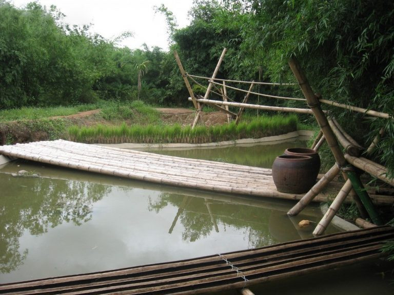 Làng tre Phú An