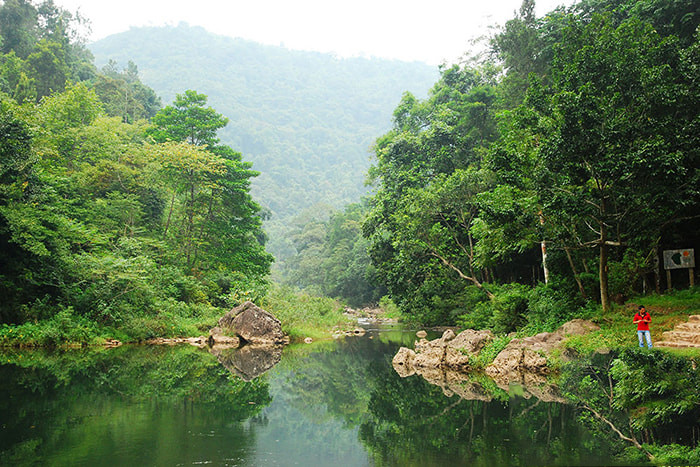 Cắm trại Khu Du Lịch Suối Mỡ