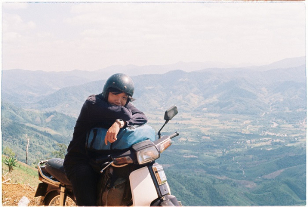 Đồi chè