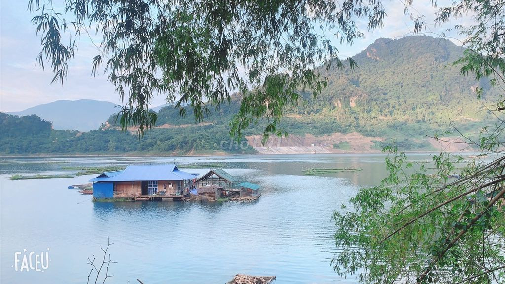NGÒI HOA, HÒA BÌNH