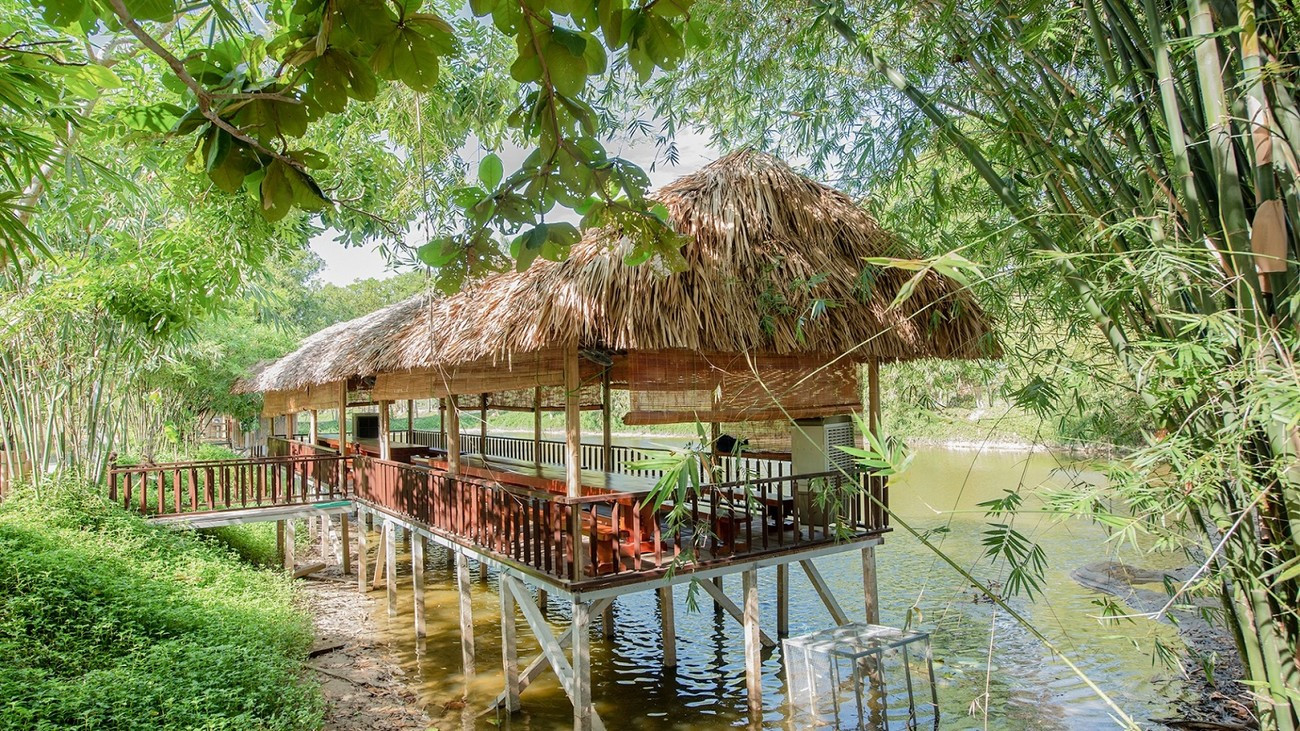 Khu Sinh Thái Rừng Hà Gia