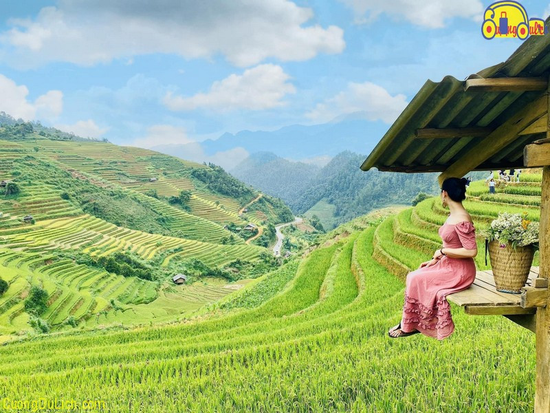 Mù Cang Chải