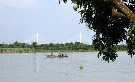 Cồn Tân Thuận Đông
