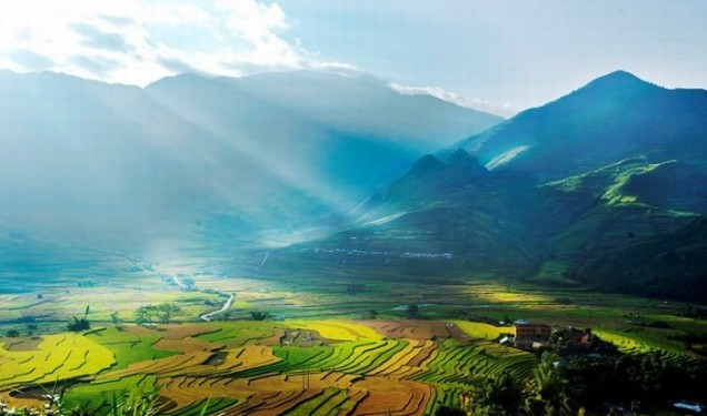 Mù Cang Chải