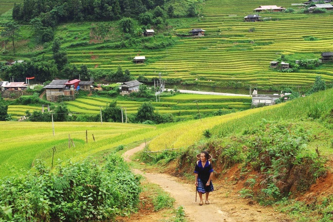 Mù Cang Chải
