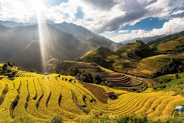 Mù Cang Chải