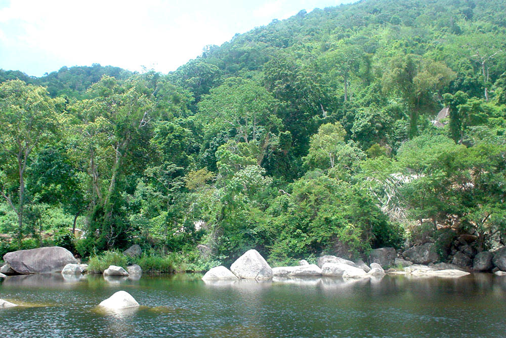 Vườn quốc gia Chu Yang Sin
