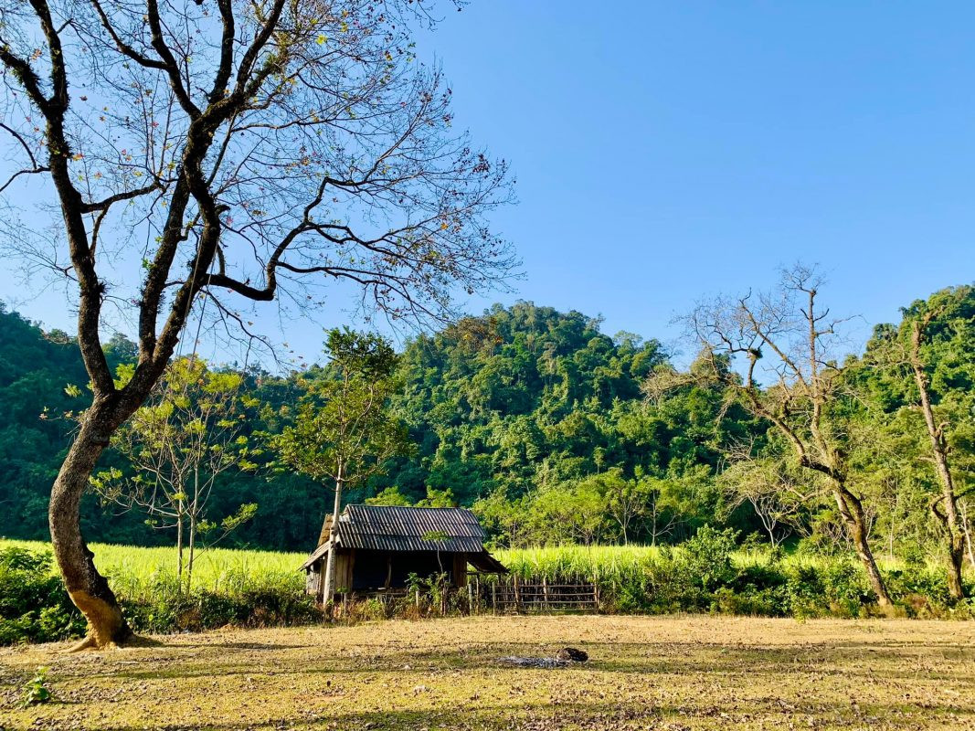 BÃI BÙI, LẠC SƠN, HÒA BÌNH
