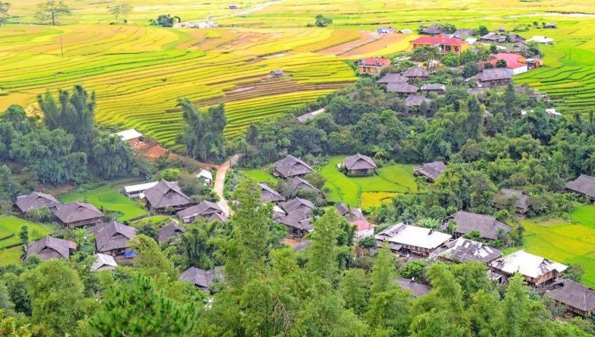 Mù Cang Chải