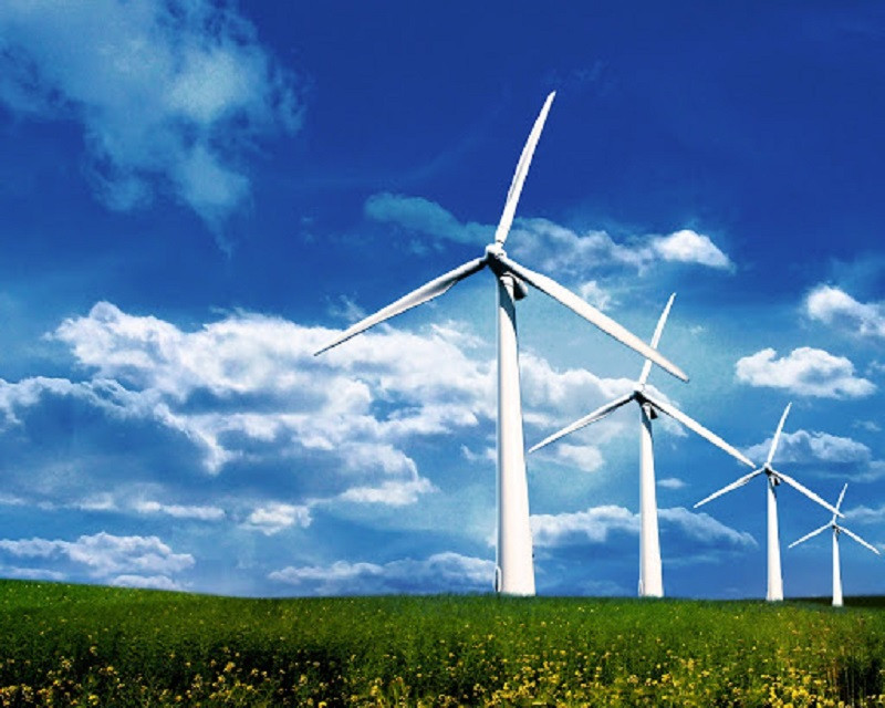 Cánh Đồng Quạt Gió Ninh Thuận (Wind Fan Field)