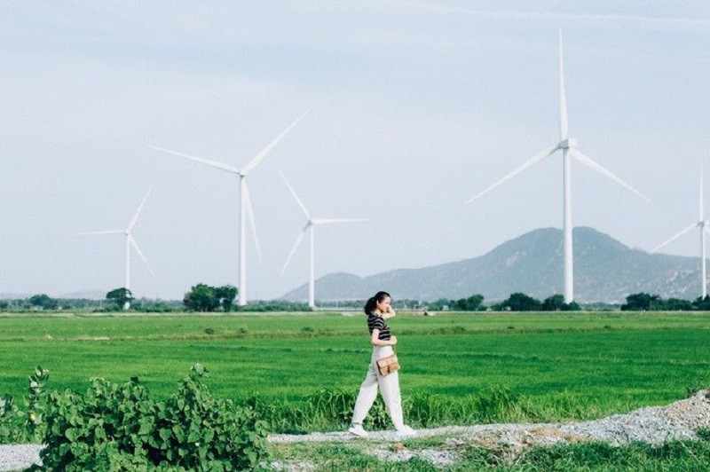 Cánh Đồng Quạt Gió Ninh Thuận (Wind Fan Field)