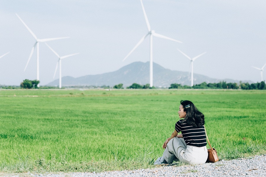 Cánh Đồng Quạt Gió Ninh Thuận (Wind Fan Field)
