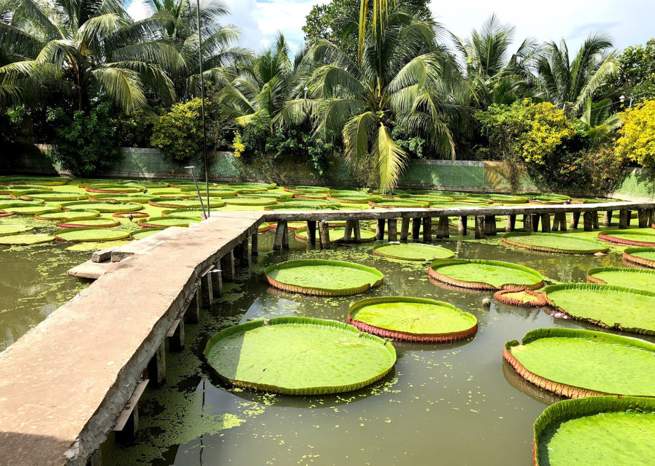 Phước Kiển Tự (Chùa Lá Sen)