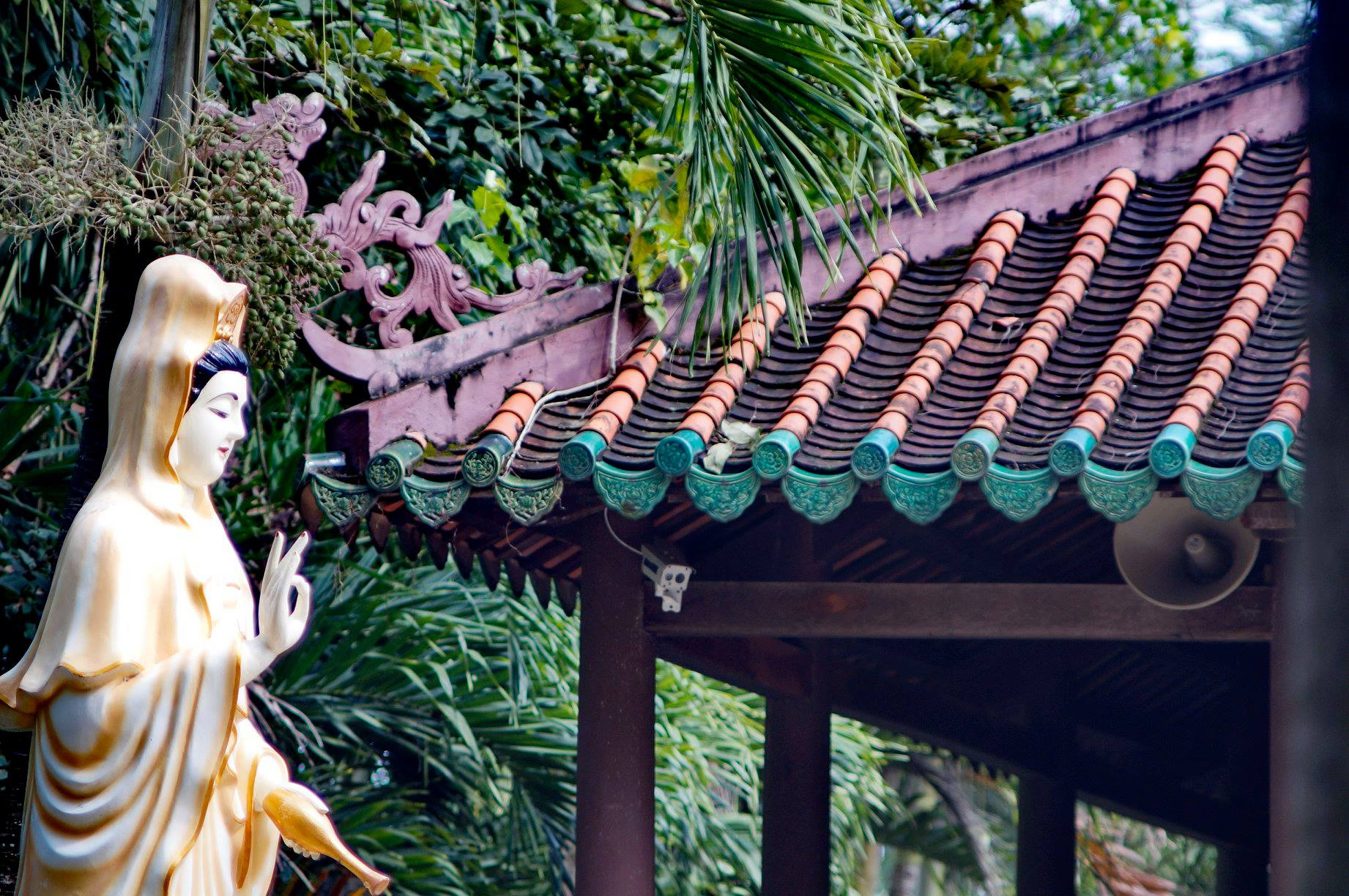 Chùa Tôn Thạnh