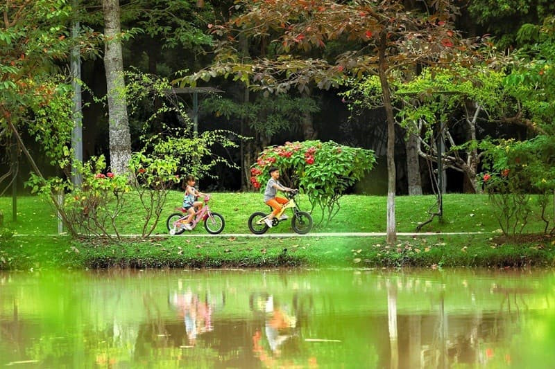 CÔNG VIÊN MÙA HẠ ECOPARK