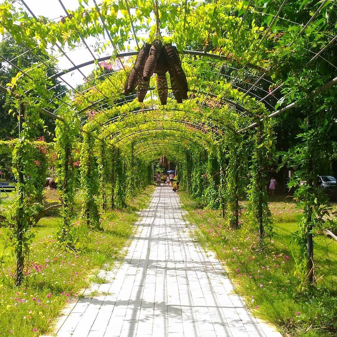 CÔNG VIÊN MÙA HẠ ECOPARK