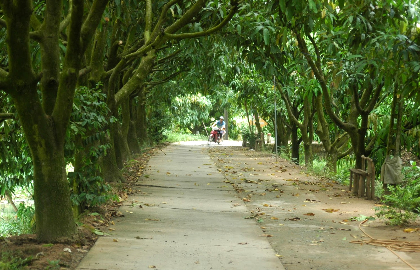 Cồn Tân Thuận Đông