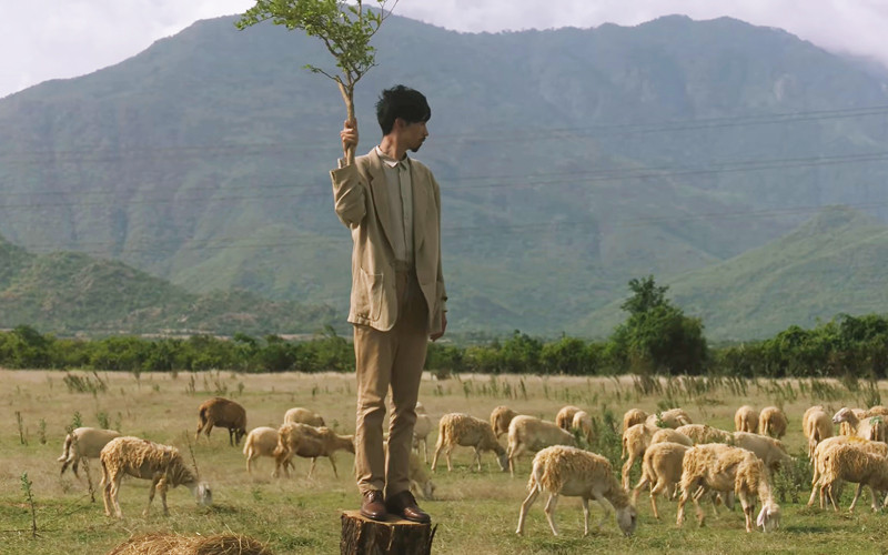 Đồng Cừu An Hòa (Copper Sheep)