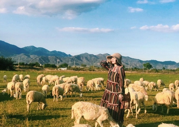 Đồng Cừu An Hòa (Copper Sheep)