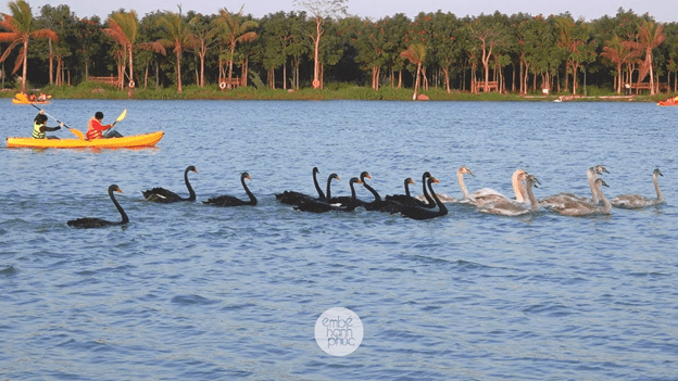 CÔNG VIÊN HỒ THIÊN NGA, ECOPARK