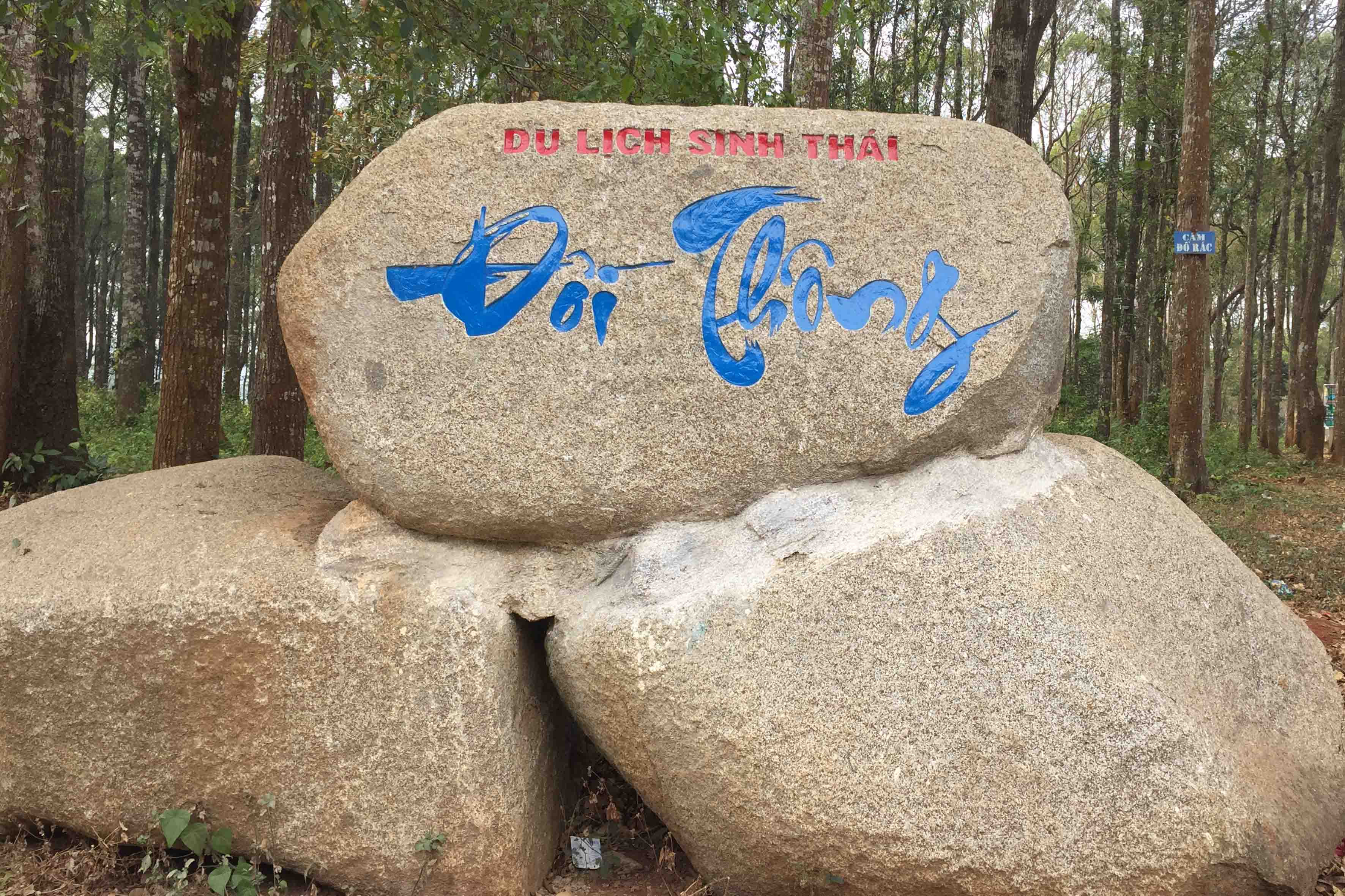 Du Lịch Sinh Thái Đồi Thông