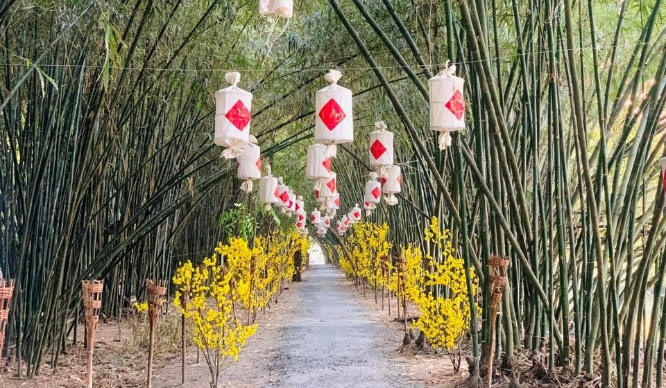 Con đường tre đẹp nhất Hậu Giang